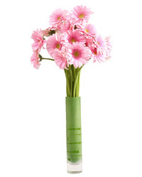 pink gerberas in a vase