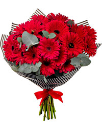 bouquet of 17 gerberas