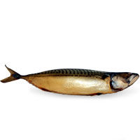 Spanish mackerel hot-smoked